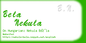 bela nekula business card